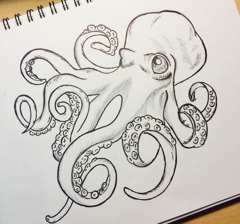 Octopus drawing for kids with pencil, watercolor