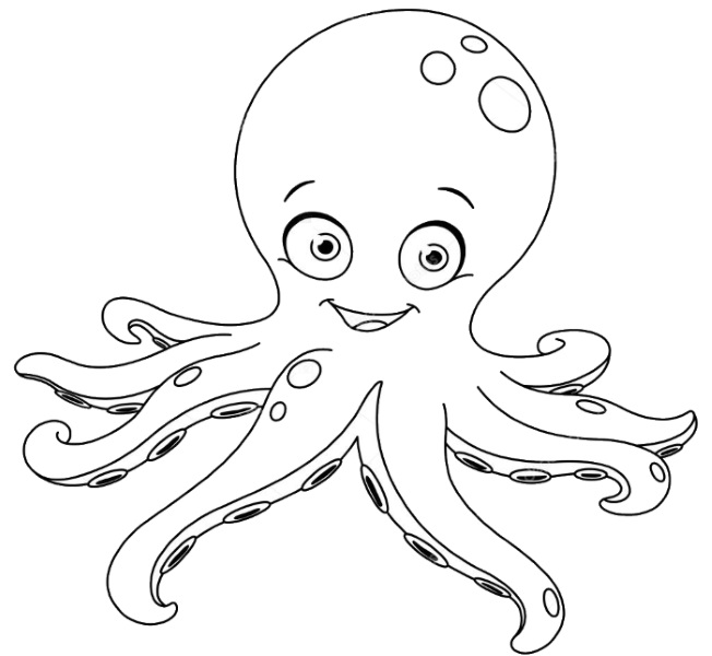 Octopus drawing for kids with pencil, watercolor