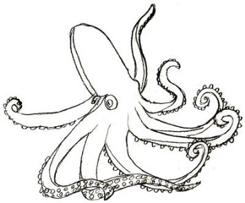 Octopus drawing for kids with pencil, watercolor