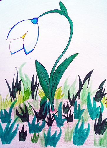 Disegno di bucaneve per bambini con matita e colori