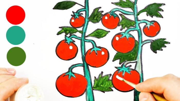 Tomatenzeichnung für Kinder mit Bleistift, Farben