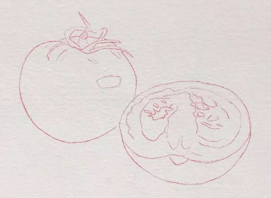Tomatenzeichnung für Kinder mit Bleistift, Farben