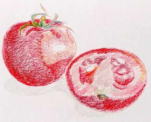 Tomatenzeichnung für Kinder mit Bleistift, Farben