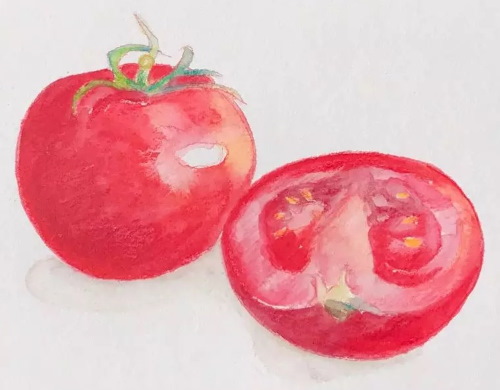 Tomatenzeichnung für Kinder mit Bleistift, Farben
