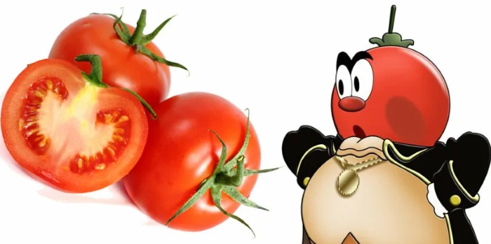 Tomatenzeichnung für Kinder mit Bleistift, Farben