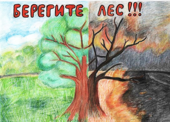Zeichnungen zum Thema Pflanzenpflege mit Bleistift