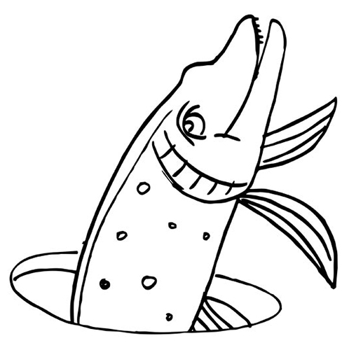Hecht zeichnen für Kinder mit Bleistift Schritt für Schritt