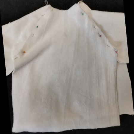 Damen-Sweatshirt. Muster mit Stickerei, Raglanärmel, Kapuze, Druck