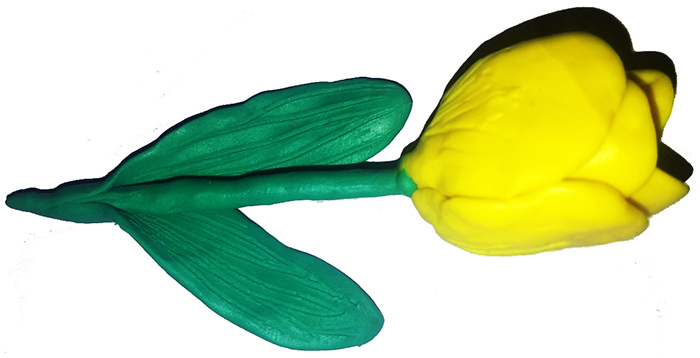 Blumen aus Plastilin für Kinder von 3-7 Jahren, volumetrisch, auf Karton