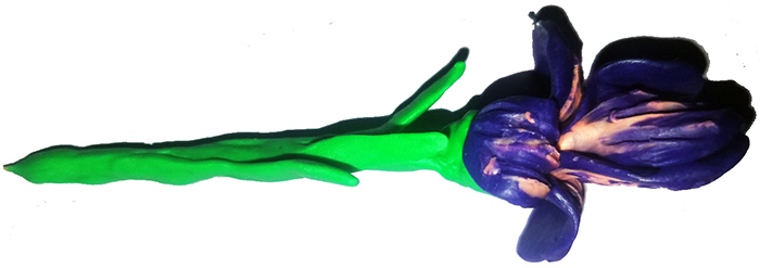 Blumen aus Plastilin für Kinder von 3-7 Jahren, volumetrisch, auf Karton