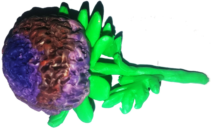 Blumen aus Plastilin für Kinder von 3-7 Jahren, volumetrisch, auf Karton