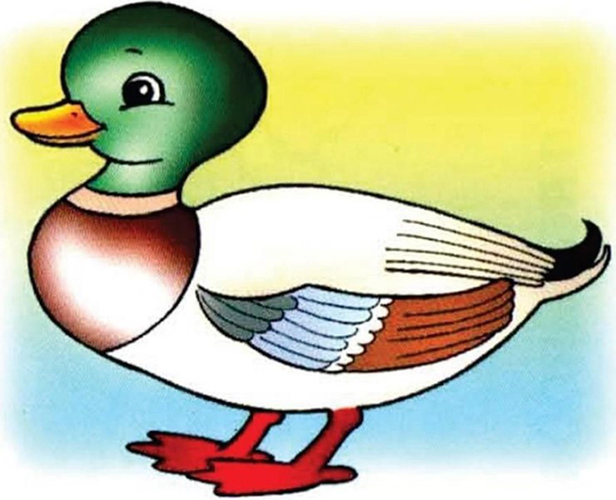 Entenzeichnung für Kinder Schritt für Schritt mit einem Bleistift