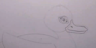 Entenzeichnung für Kinder Schritt für Schritt mit einem Bleistift