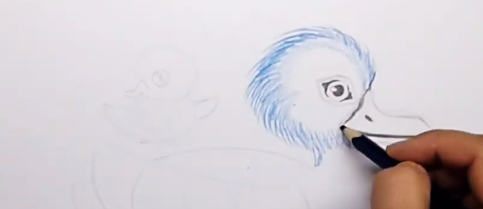 Entenzeichnung für Kinder Schritt für Schritt mit einem Bleistift