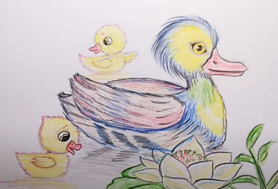 Entenzeichnung für Kinder Schritt für Schritt mit einem Bleistift