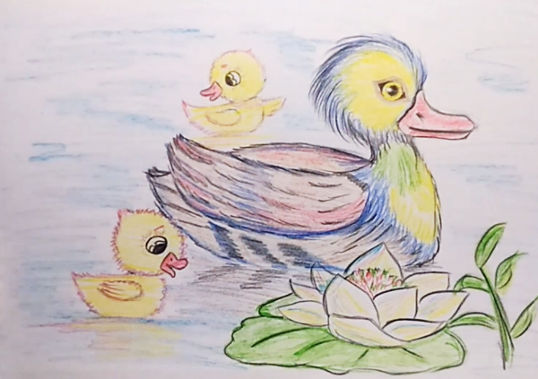 Entenzeichnung für Kinder Schritt für Schritt mit einem Bleistift