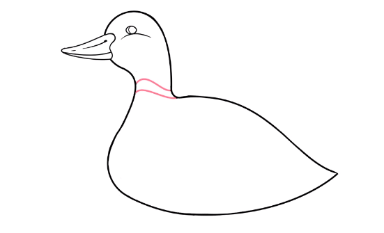 Entenzeichnung für Kinder Schritt für Schritt mit einem Bleistift