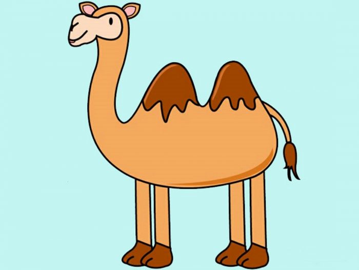 Kamel zeichnen für Kinder mit Bleistift Schritt für Schritt