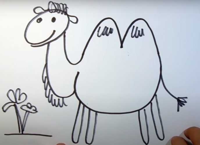 Kamel zeichnen für Kinder mit Bleistift Schritt für Schritt