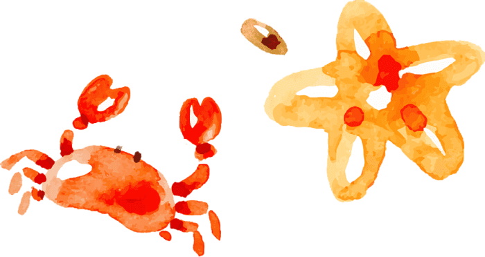 Krabbenzeichnung für Kinder mit Bleistift Schritt für Schritt in Farbe