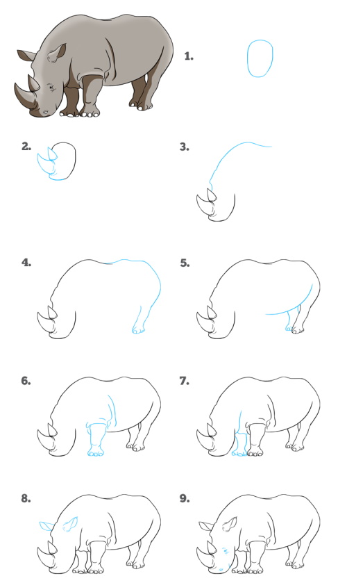 Nashorn zeichnen für Kinder mit Bleistift Schritt für Schritt