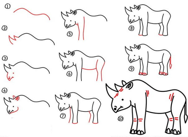 Nashorn zeichnen für Kinder mit Bleistift Schritt für Schritt