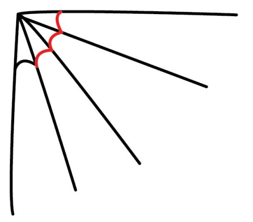Spinnennetz zeichnen für Kinder mit Bleistift Schritt für Schritt