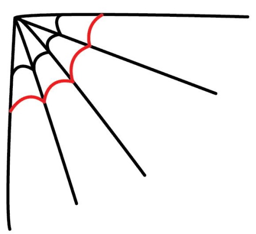 Spinnennetz zeichnen für Kinder mit Bleistift Schritt für Schritt