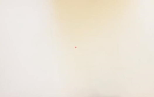 Spinnennetz zeichnen für Kinder mit Bleistift Schritt für Schritt