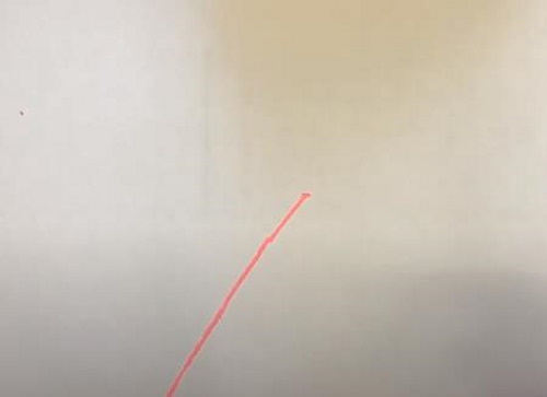 Spinnennetz zeichnen für Kinder mit Bleistift Schritt für Schritt