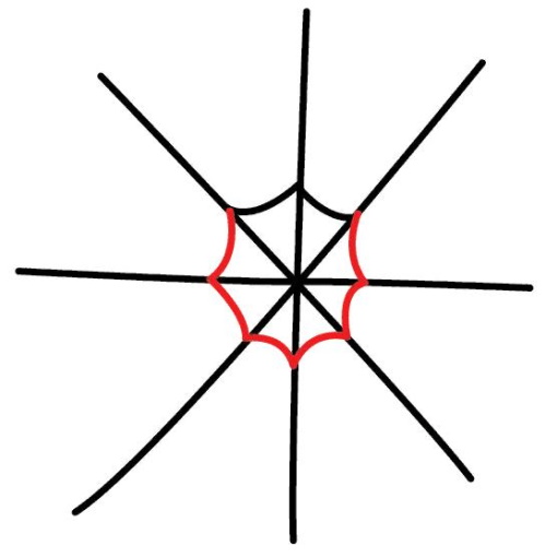 Spinnennetz zeichnen für Kinder mit Bleistift Schritt für Schritt