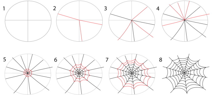 Spinnennetz zeichnen für Kinder mit Bleistift Schritt für Schritt