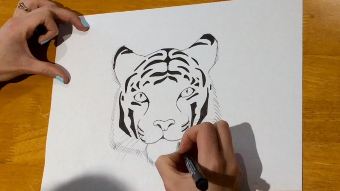 Tiger zeichnen für Kinder mit Bleistift Schritt für Schritt