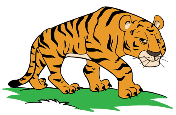 Tiger zeichnen für Kinder mit Bleistift Schritt für Schritt