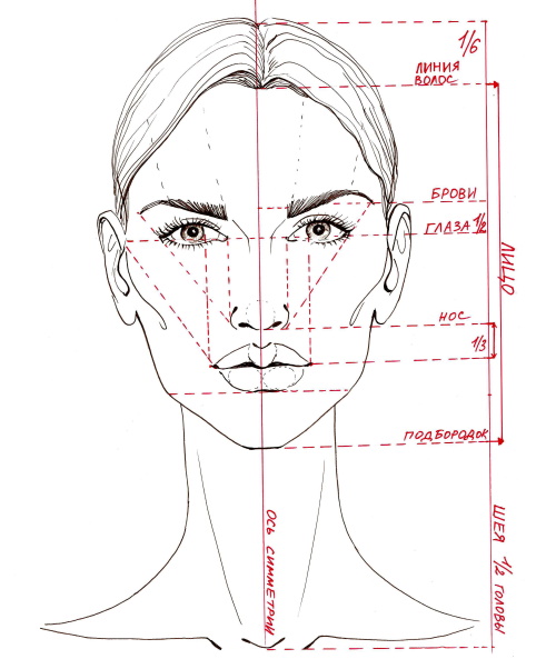 Tutorials zum Zeichnen einer Person für Anfänger. Anatomie