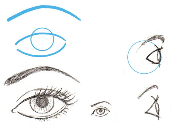 Tutorials zum Zeichnen einer Person für Anfänger. Anatomie