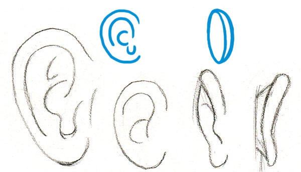Tutorials zum Zeichnen einer Person für Anfänger. Anatomie