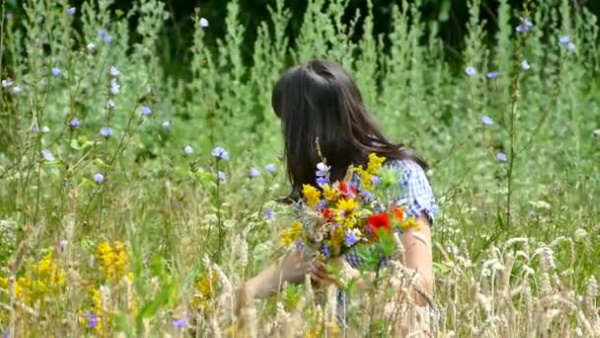 Wunderschöne, handgefertigte Sträuße aus Wildblumen. Foto