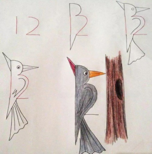 Specht zeichnen für Kinder mit Bleistift Schritt für Schritt