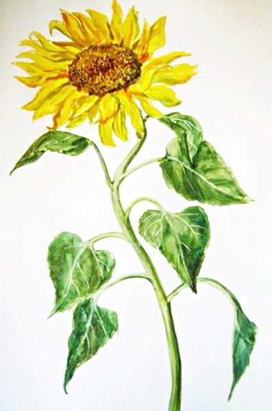 Wie man Blumen mit Gouache Schritt für Schritt für Anfänger und Kinder zeichnet