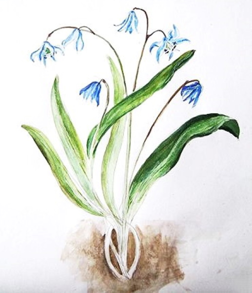 Wie man Blumen mit Gouache Schritt für Schritt für Anfänger und Kinder zeichnet