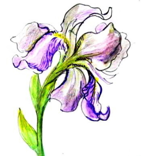 Wie man Blumen mit Gouache Schritt für Schritt für Anfänger und Kinder zeichnet