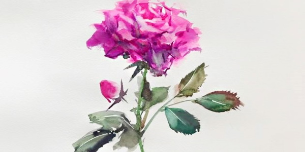 Wie man Blumen mit Gouache Schritt für Schritt für Anfänger und Kinder zeichnet
