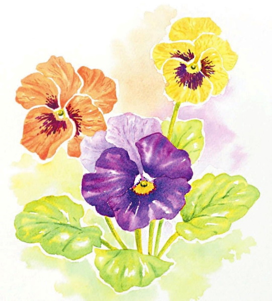 Wie man Blumen mit Gouache Schritt für Schritt für Anfänger und Kinder zeichnet