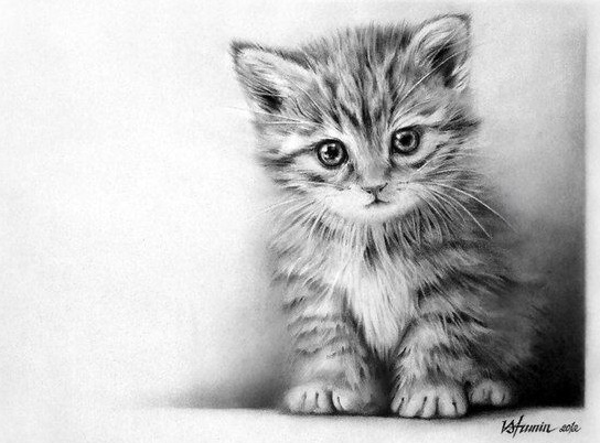 Katzenzeichnung für Kinder mit Bleistift