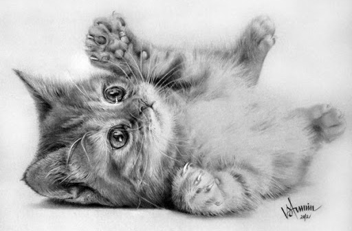 Katzenzeichnung für Kinder mit Bleistift