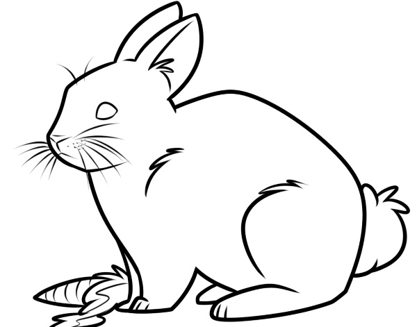 Kaninchen zeichnen für Kinder mit Bleistift