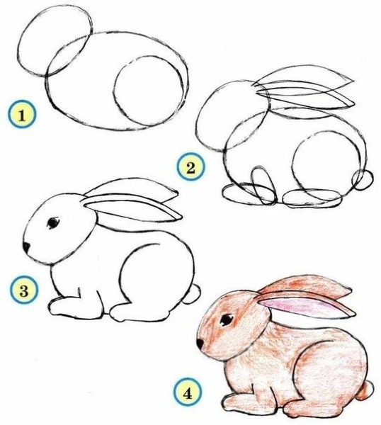 Kaninchen zeichnen für Kinder mit Bleistift