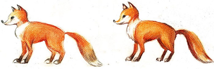 Fuchsgesicht zeichnen für Kinder mit Bleistift Schritt für Schritt