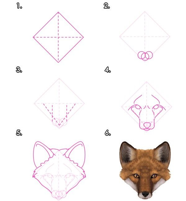 Fuchsgesicht zeichnen für Kinder mit Bleistift Schritt für Schritt